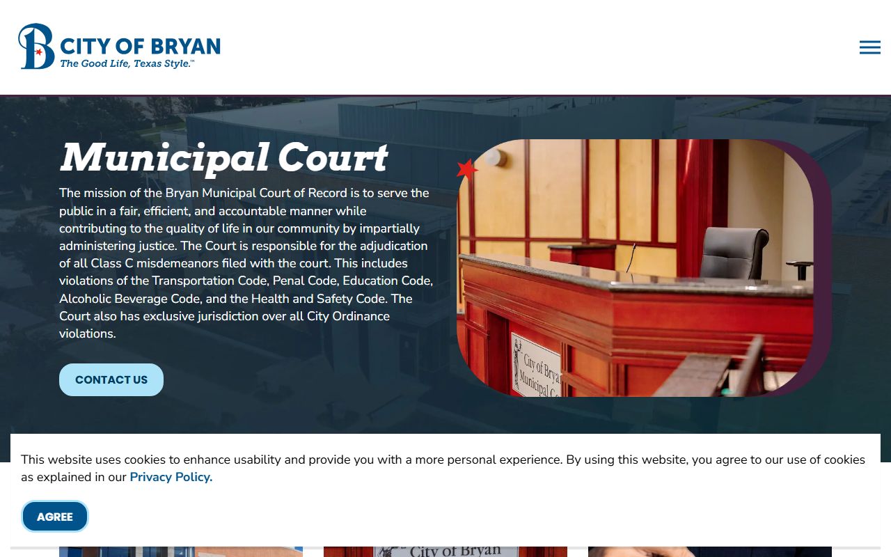 Bryan court records portal screenshot