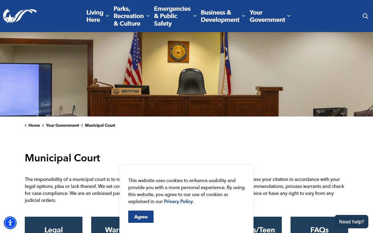 College Station court records portal screenshot