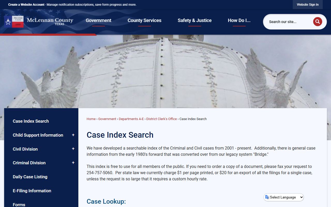 Waco court records portal screenshot