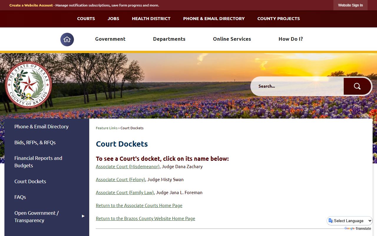 Brazos County court records portal screenshot