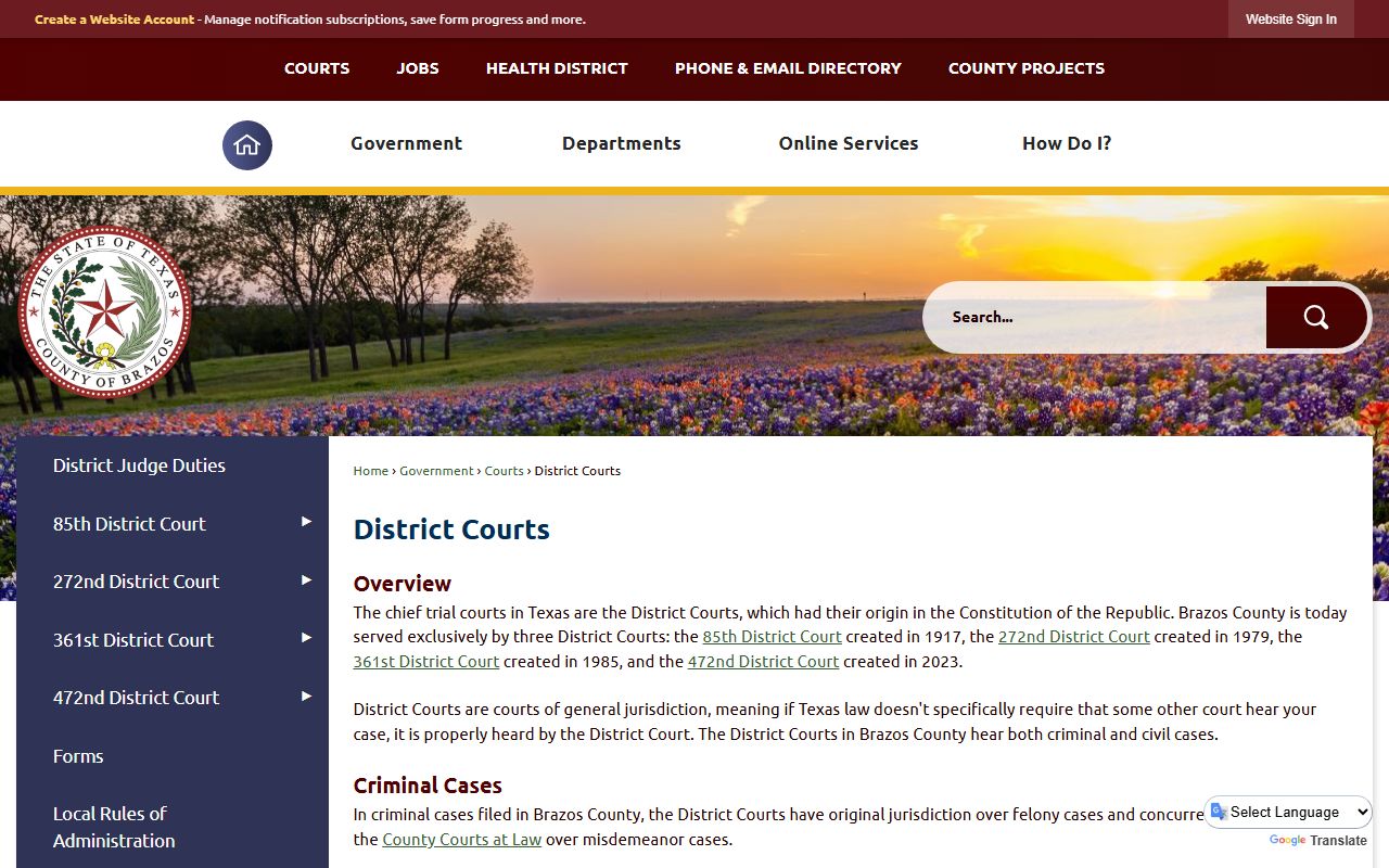 Brazos County court records portal screenshot