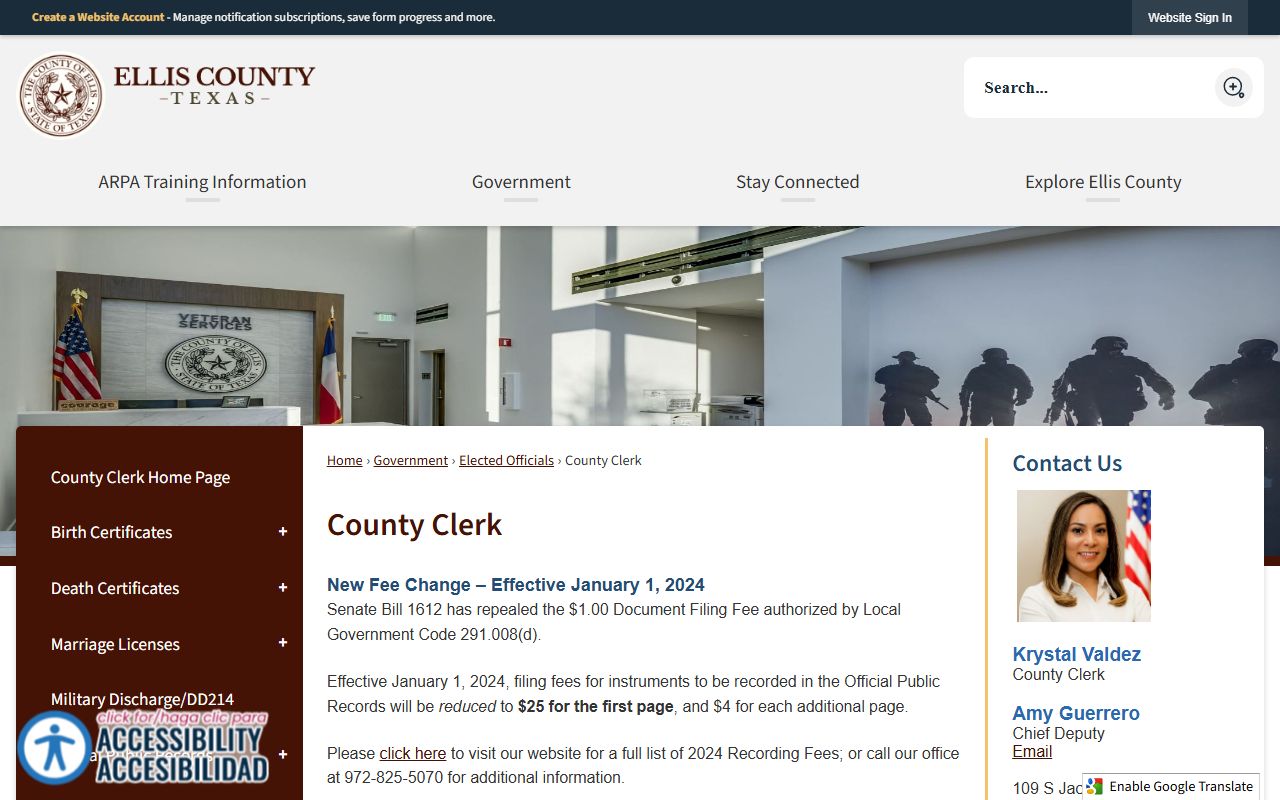 Ellis County court records portal screenshot